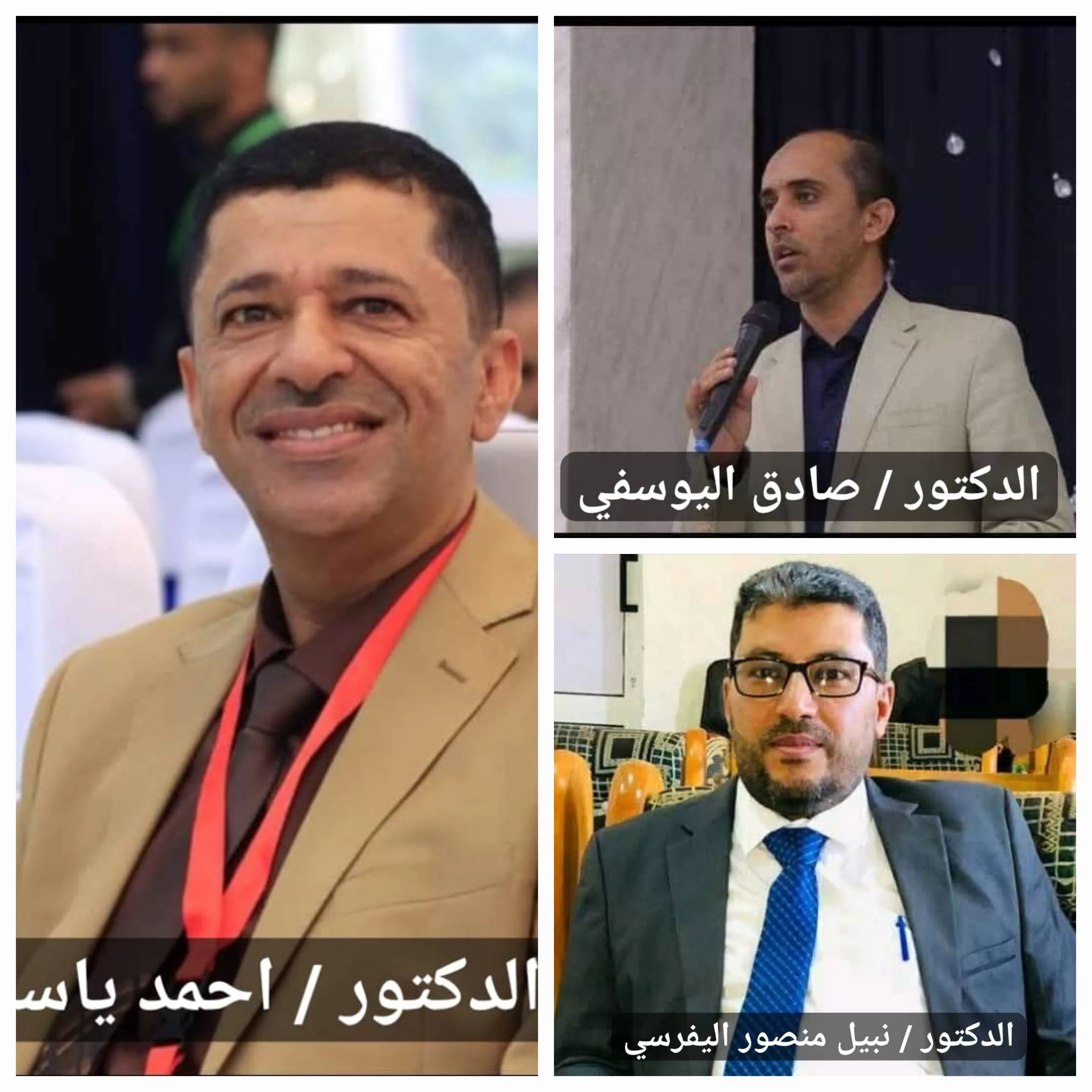 فلول ايران : يشنون حملة اعتقالات مسعورة في مدينة إب