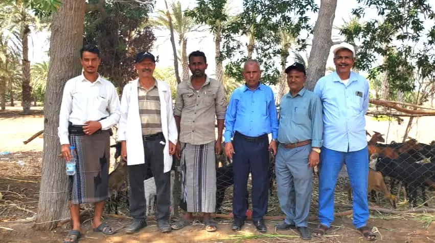 المخا : الدعيس يتفقد جاهزية الدفعة الأخيرة من الماعز لتوزيعها على الأسر المستفيدة