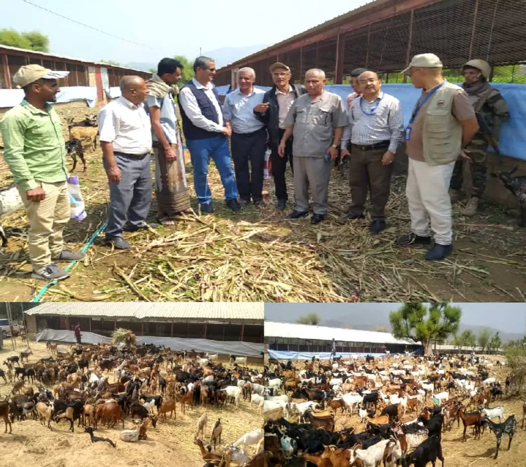 الدعيس و"الفاو" يطلّعان على إجراءات الحجر البيطري للماعز في مديرية المسراخ بتعز